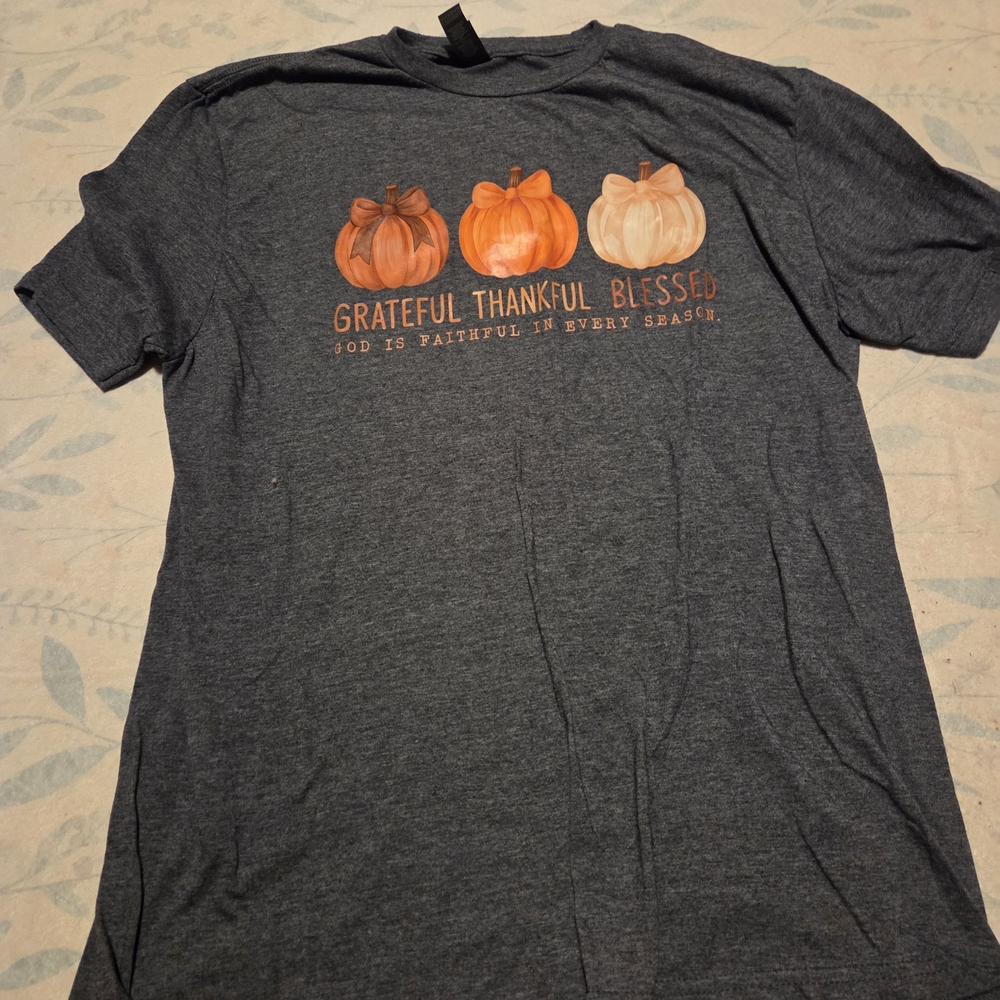 Gildan Softstyle Heather Gray T-Shirt